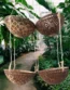 2-tier Coconut Shell Hanging Basket Natural Flower Pot