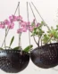 Set 2 Pcs pots for plants indoor, Large Size Handicraft Coconut Shell Hanging Planter Pots/pots for plants indoor with drainage/pots hanger.