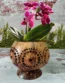 Large size coconut shell planter pots, Perfect decoration gift Idea, Flower holders, Pot & base handcrafted from a reclaimed coconut shell.