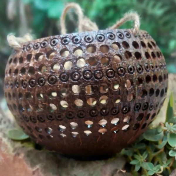 Set 3 PCS Coconut flower pots, hanging pots, for Indoor and Outdoor Flowers, hanging basket, Gift.