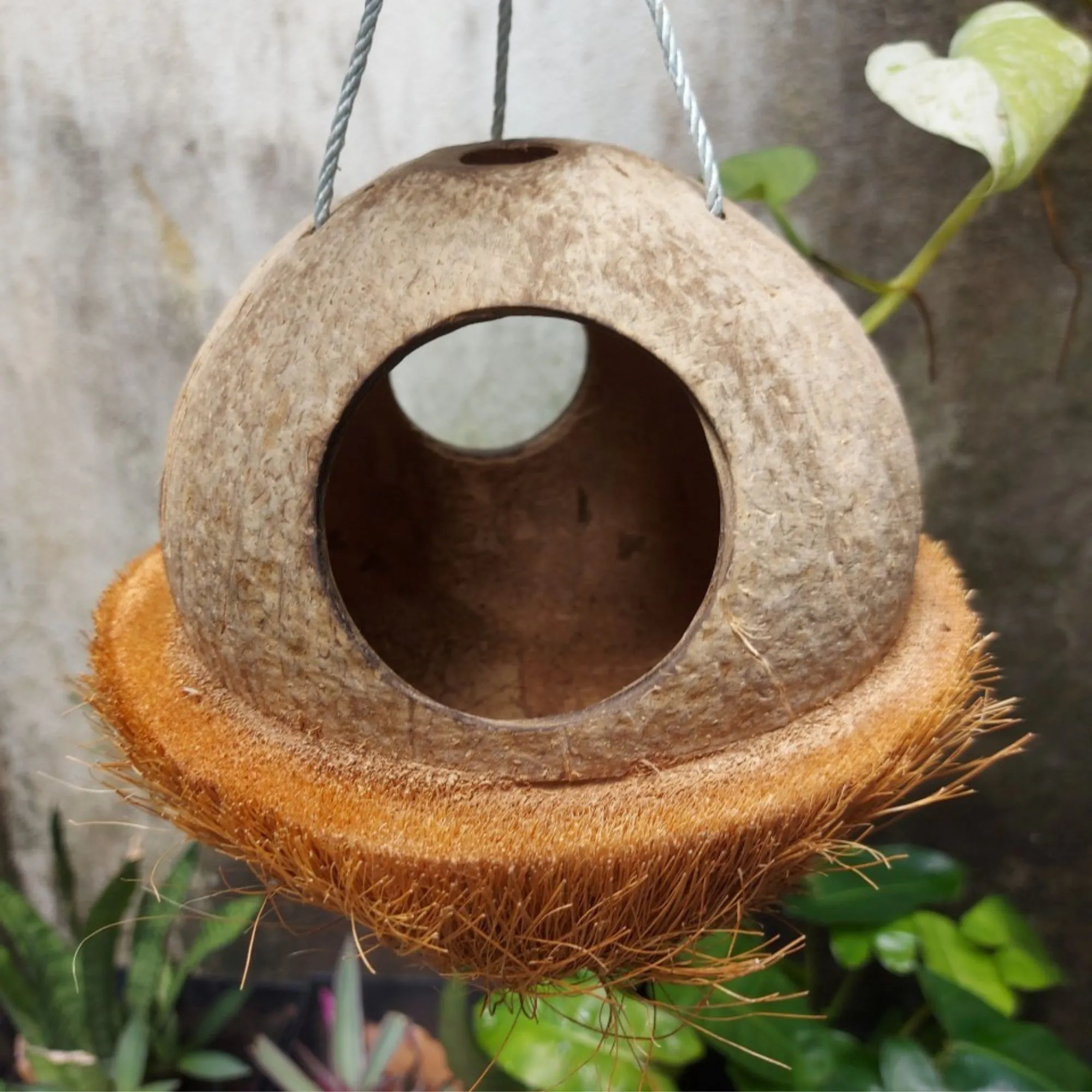 Bird house, Natural Coconut shell bird nest Handmade,