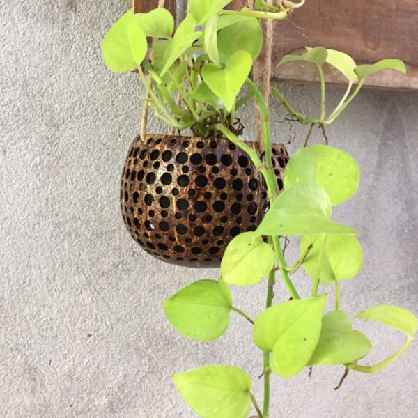 Crafted from a Reclaimed Coconut.