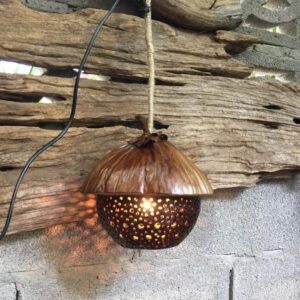 Coconut shell hanging lamp