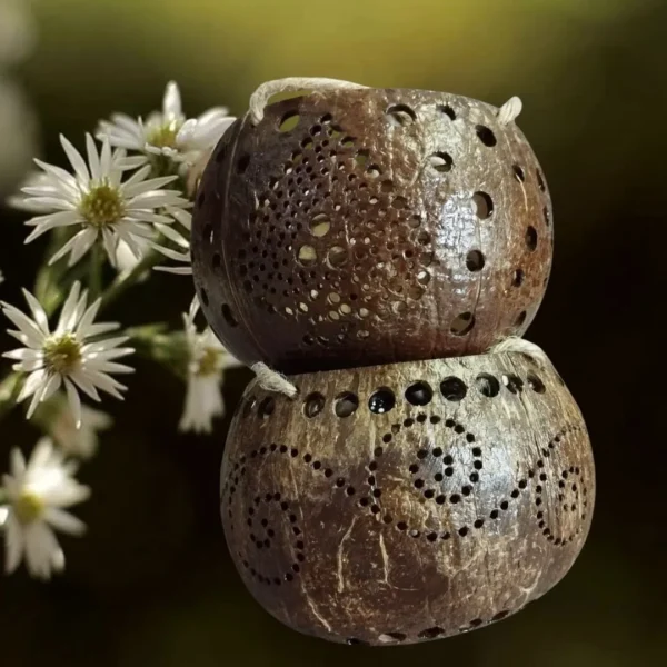 Set 2 Pcs Coconut Shell Hanging Pot Planter, planters and pots unique, potholders, potholders handmade,