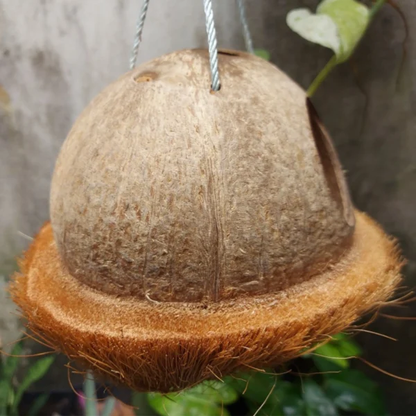 Bird house, Natural Coconut shell bird nest Handmade,