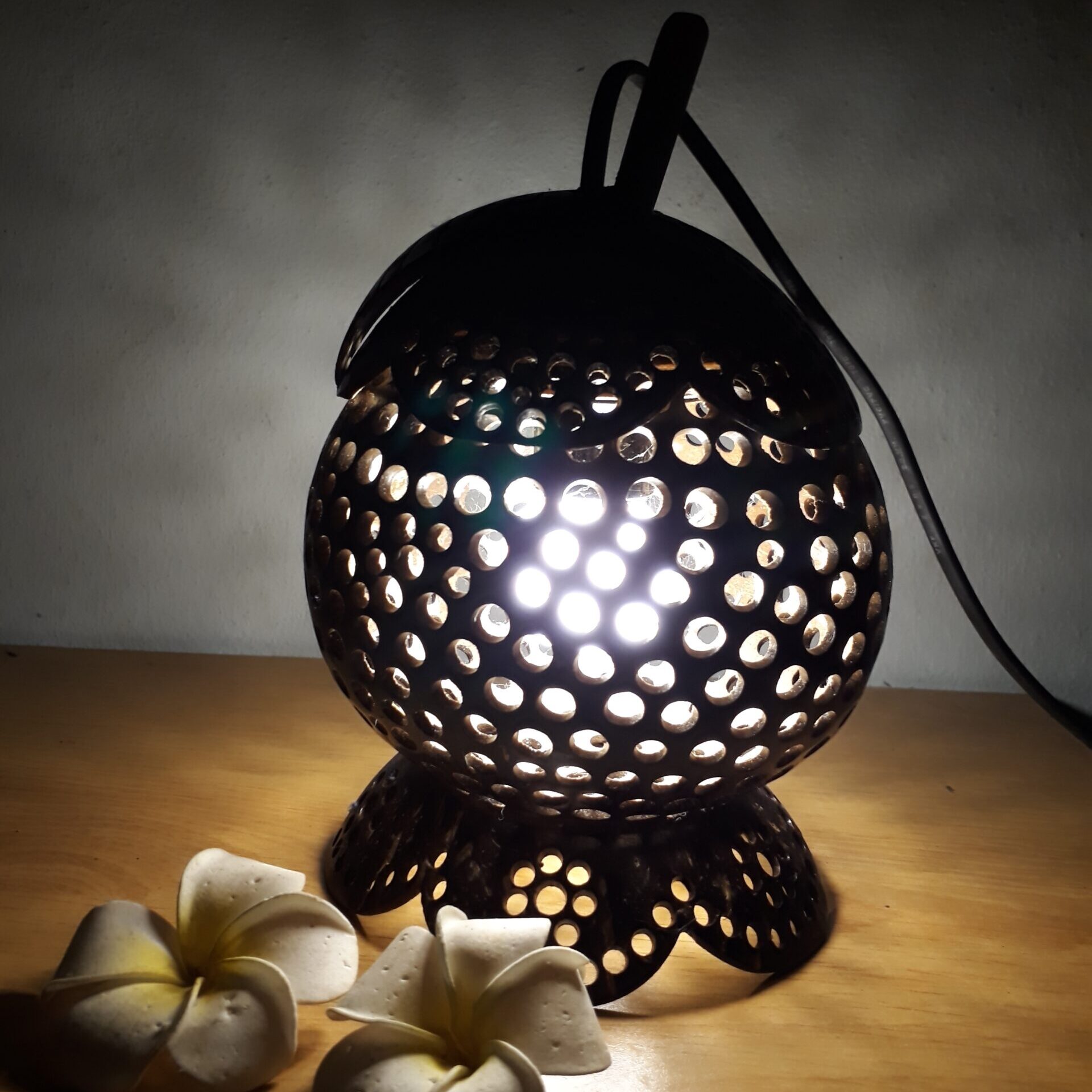 Handicraft Coconut Shell Mangosteen Fruit Carved Indoor/Outdoor Décor Lamp Shade.