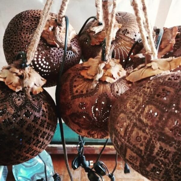 270054555_1102796870531002_1358548393117456041_n