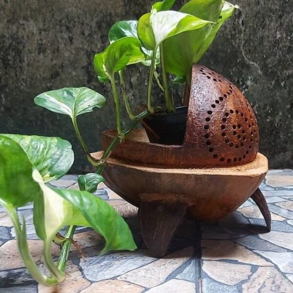 287891847_1863261857205942_2673395483079374929_n