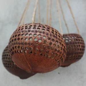 Set 3 PCS Coconut flower pots, hanging pots, for Indoor and Outdoor Flowers, hanging basket, Gift.