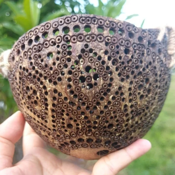 2-tier Coconut Shell Hanging Basket Natural Flower Pot