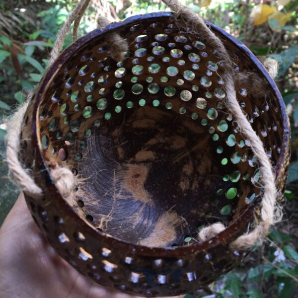 Crafted from a Reclaimed Coconut.