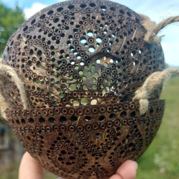 2-tier Coconut Shell Hanging Basket Natural Flower Pot