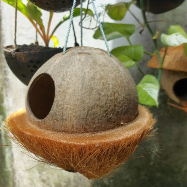 Bird house, Natural Coconut shell bird nest Handmade,