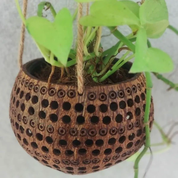 Set 3 PCS Coconut flower pots, hanging pots, for Indoor and Outdoor Flowers, hanging basket, Gift.