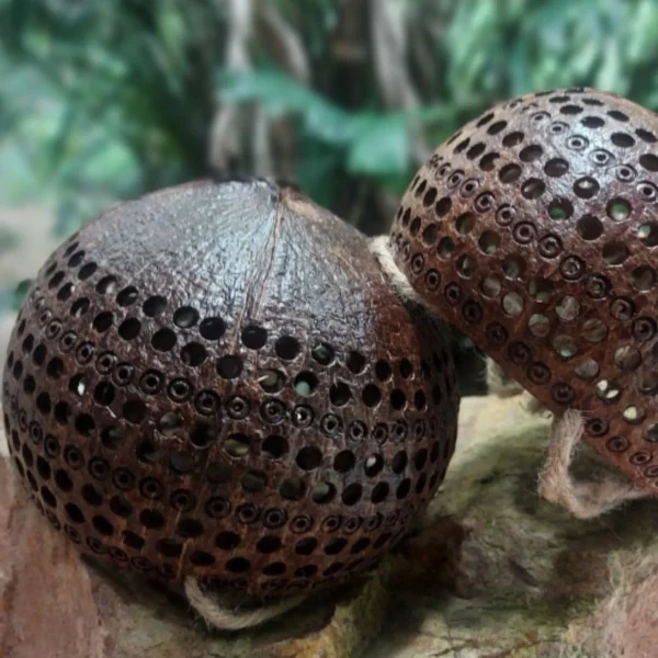 Set 3 PCS Coconut flower pots, hanging pots, for Indoor and Outdoor Flowers, hanging basket, Gift.