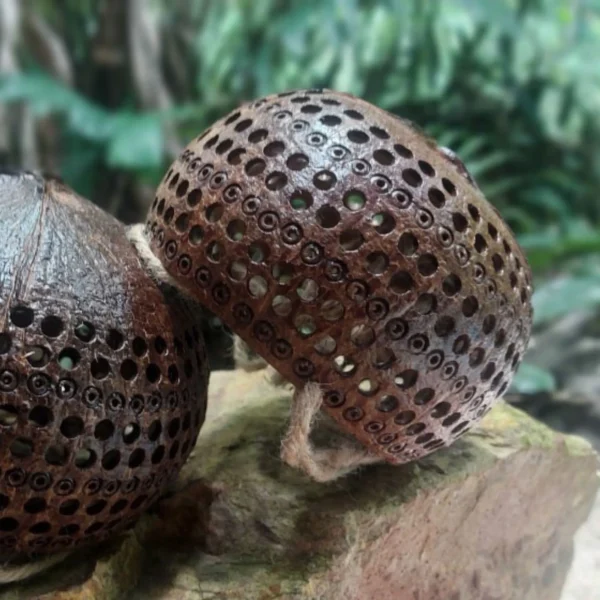 Set 3 PCS Coconut flower pots, hanging pots, for Indoor and Outdoor Flowers, hanging basket, Gift.