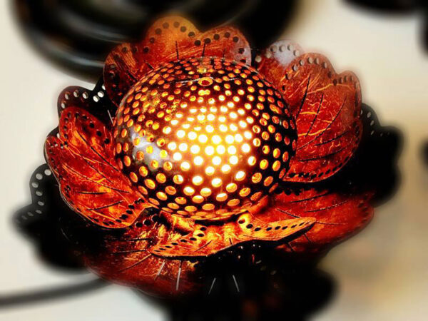 84345304_3140494525964987_5279480491525799936_o