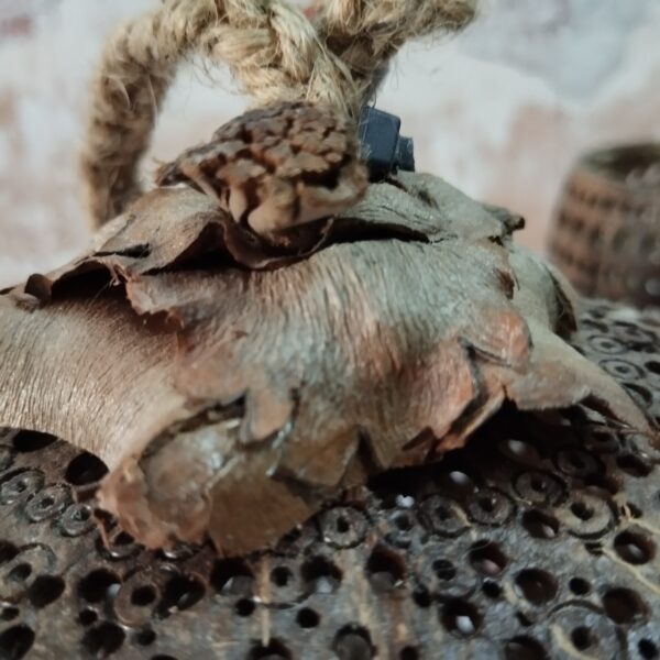 LINE_ALBUM_112024_๒๔๐๑๑๙_13