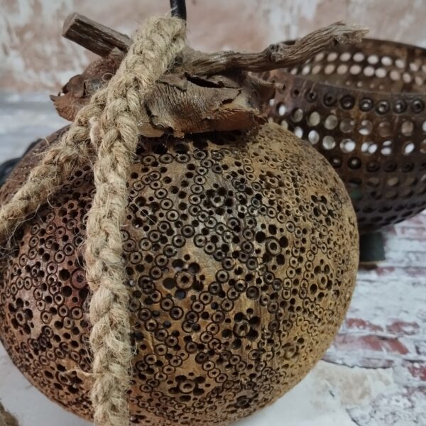 LINE_ALBUM_112024_๒๔๐๑๑๙_18