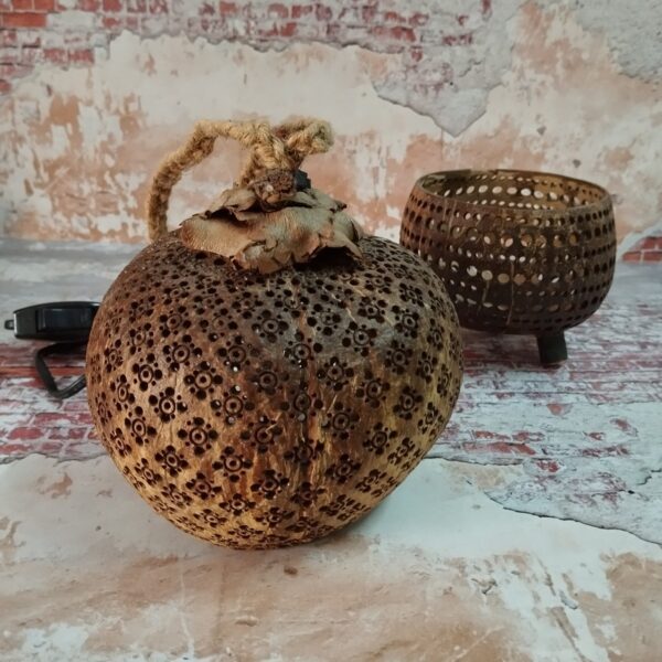 LINE_ALBUM_112024_๒๔๐๑๑๙_6