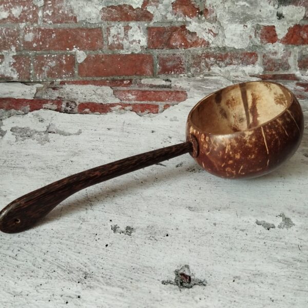 LINE_ALBUM_16112023_๒๓๑๑๑๗_21