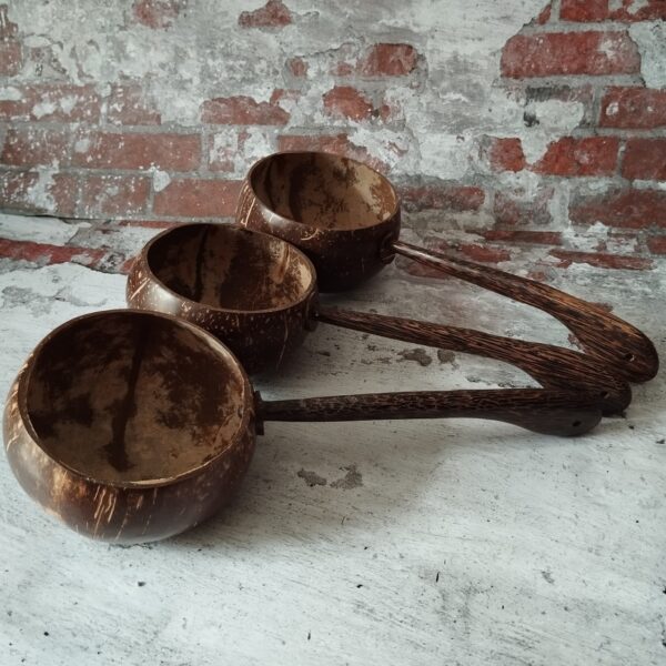 LINE_ALBUM_16112023_๒๓๑๑๑๗_30