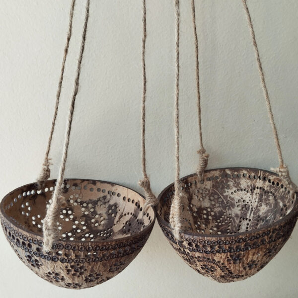 LINE_ALBUM_2024.2.11_๒๔๐๓๑๕_4