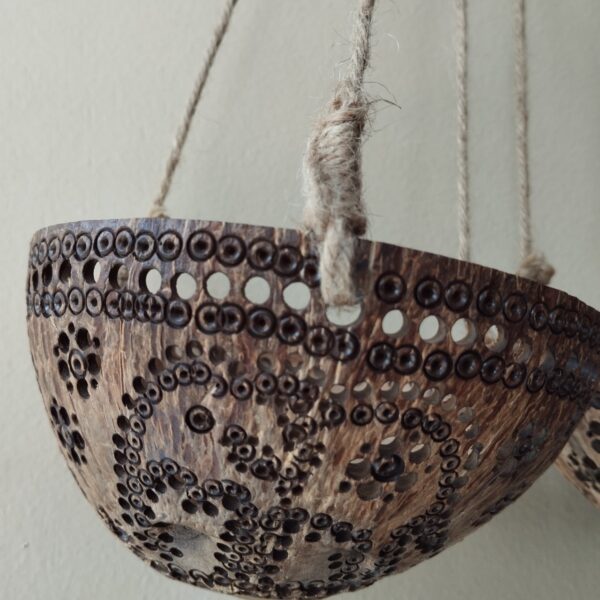 LINE_ALBUM_2024.2.11_๒๔๐๓๑๕_7