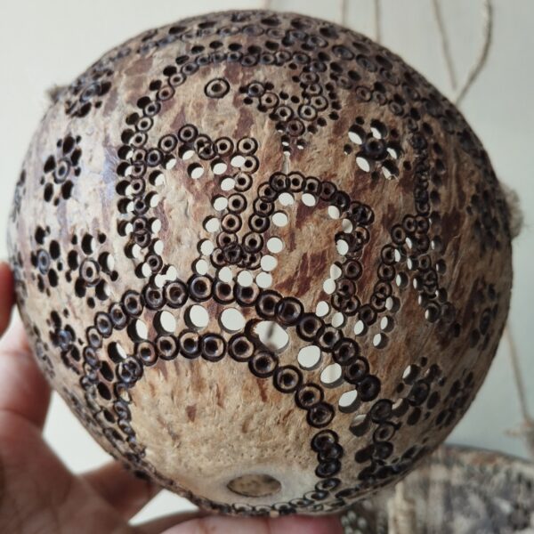 LINE_ALBUM_2024.2.11_๒๔๐๓๑๕_9