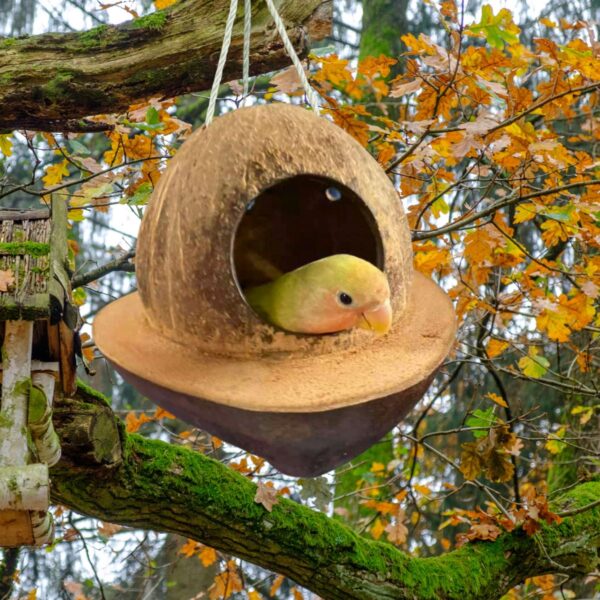 Bird feeder, Bird house, Natural Coconut shell bird nest Handmade, squirrel house for the outdoors, bird cage,