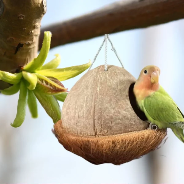 Bird house, Natural Coconut shell bird nest Handmade,