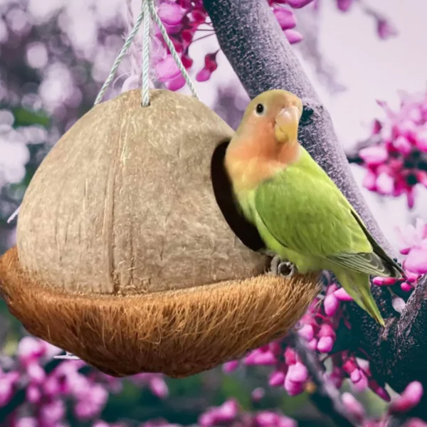 Bird house, Natural Coconut shell bird nest Handmade,