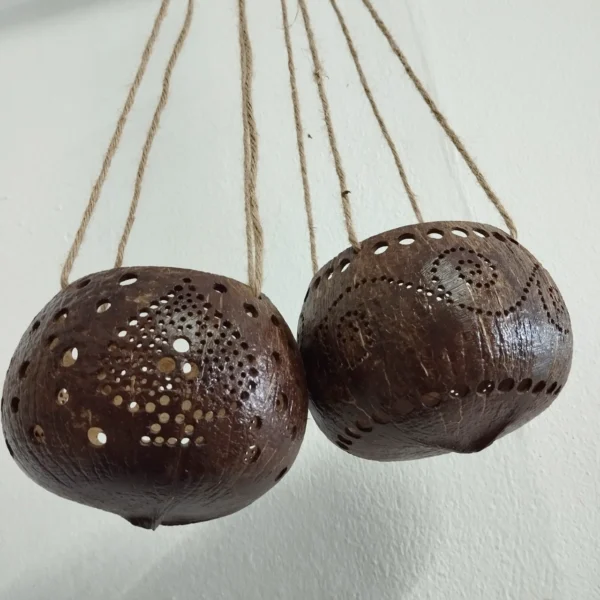 Set 2 Pcs Coconut Shell Hanging Pot Planter, planters and pots unique, potholders, potholders handmade,