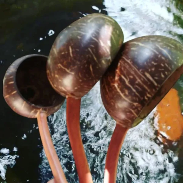 Coconut Shell Ladle Water Dipper Handicraft Natural Wooden