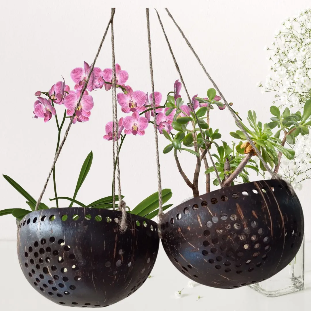 Set 2 Pcs pots for plants indoor, Large Size Handicraft Coconut Shell Hanging Planter Pots/pots for plants indoor with drainage/pots hanger.