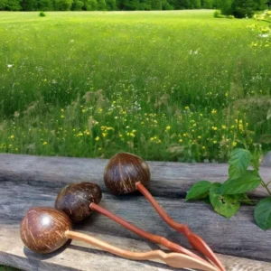 Coconut Shell Ladle Water Dipper Handicraft Natural Wooden