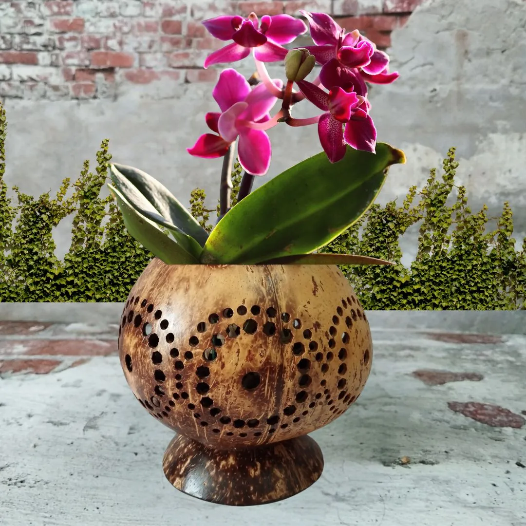 Large size coconut shell planter pots, Perfect decoration gift Idea, Flower holders, Pot & base handcrafted from a reclaimed coconut shell.
